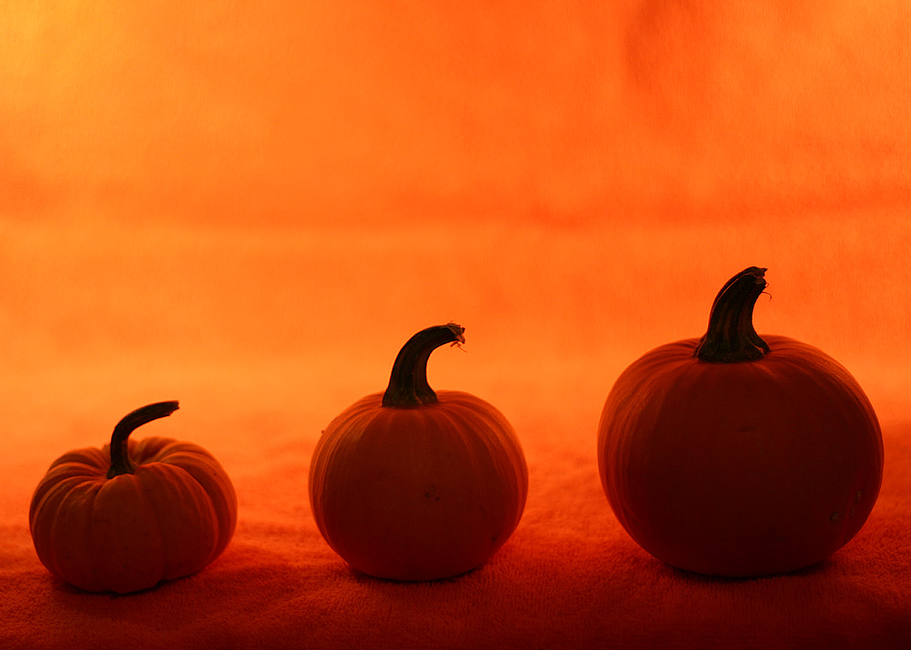 Photographie par SigloV pour DesignCrowd (Community Contests) | Design #9113319