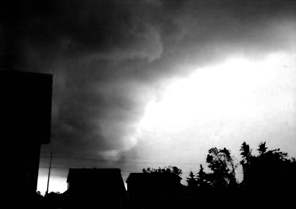 Photography by MissTish for DesignCrowd (Community Contests) | Design #9107065