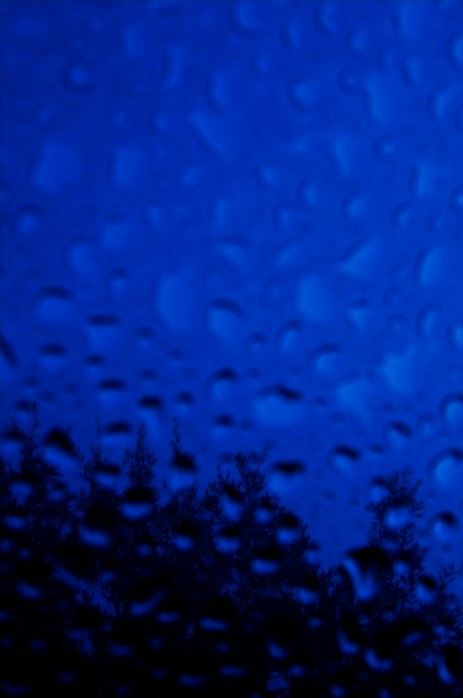 Photography by darwin for DesignCrowd (Community Contests) | Design #9107093