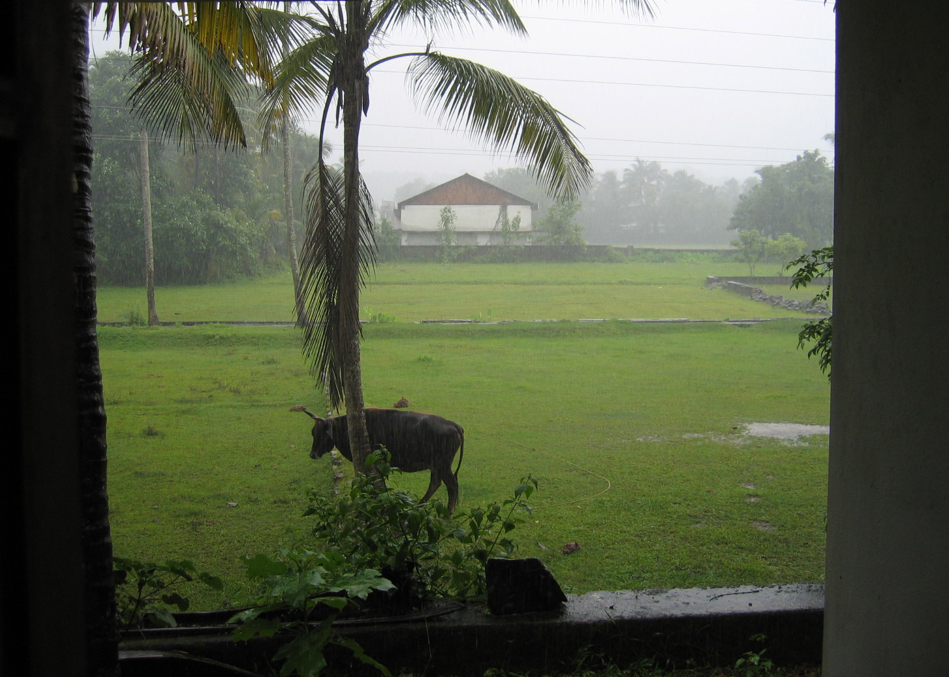 Photographie par jaisonjoe pour DesignCrowd (Community Contests) | Design #9107090