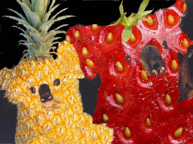 Design Photoshop par ares_revenge pour DesignCrowd (Community Contests) | Design #9109536