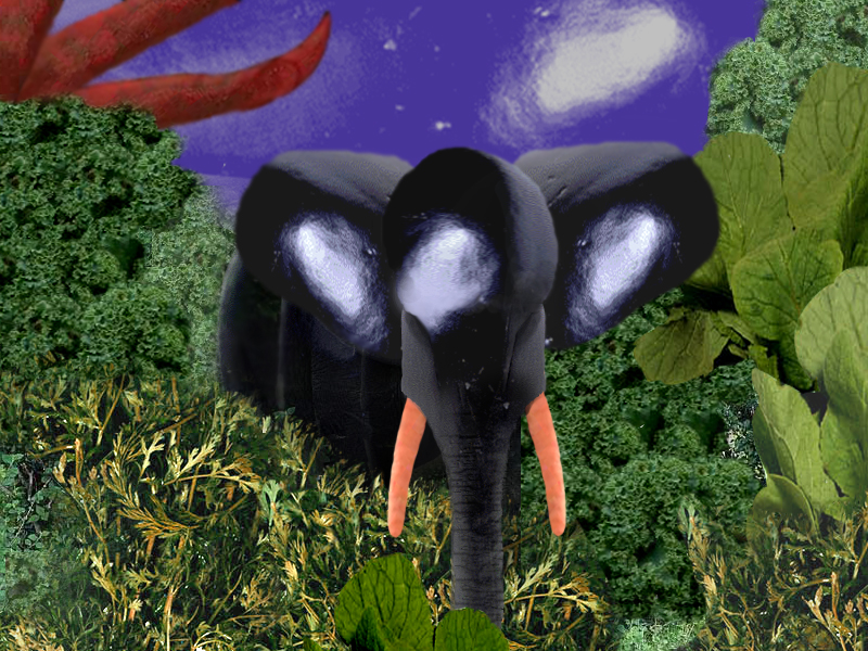 Diseño de Photoshop por vanormer para DesignCrowd (Community Contests) | Diseño #9109608