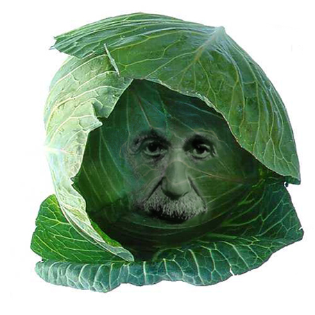 Design Photoshop par Dziedzic pour DesignCrowd (Community Contests) | Design #9109621