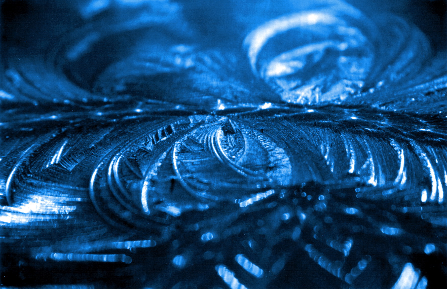 Photography by virtualstrauss for DesignCrowd (Community Contests) | Design #9107152