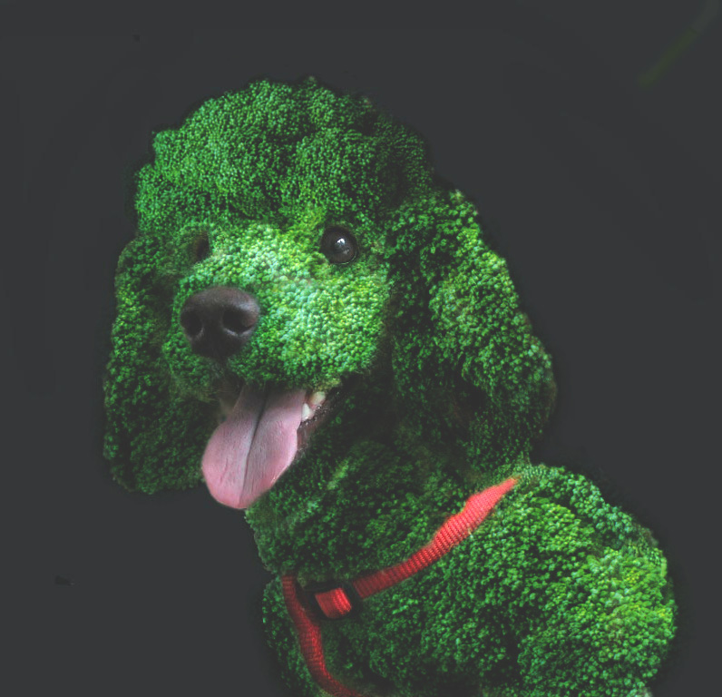 Photoshop Design by mayfae for DesignCrowd (Community Contests) | Design #9109559