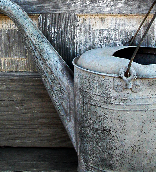 Photography by robayer for DesignCrowd (Community Contests) | Design #9113342