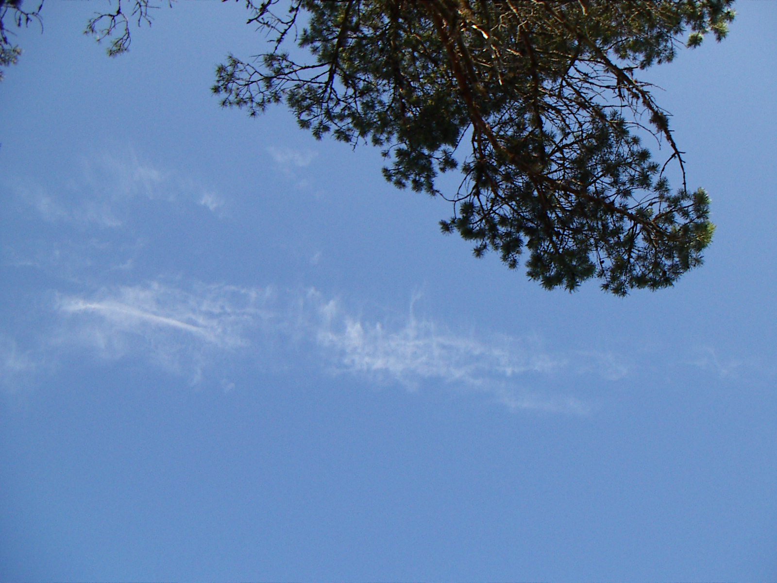 Fotografía por newmatt para DesignCrowd (Community Contests) | Diseño #9107103