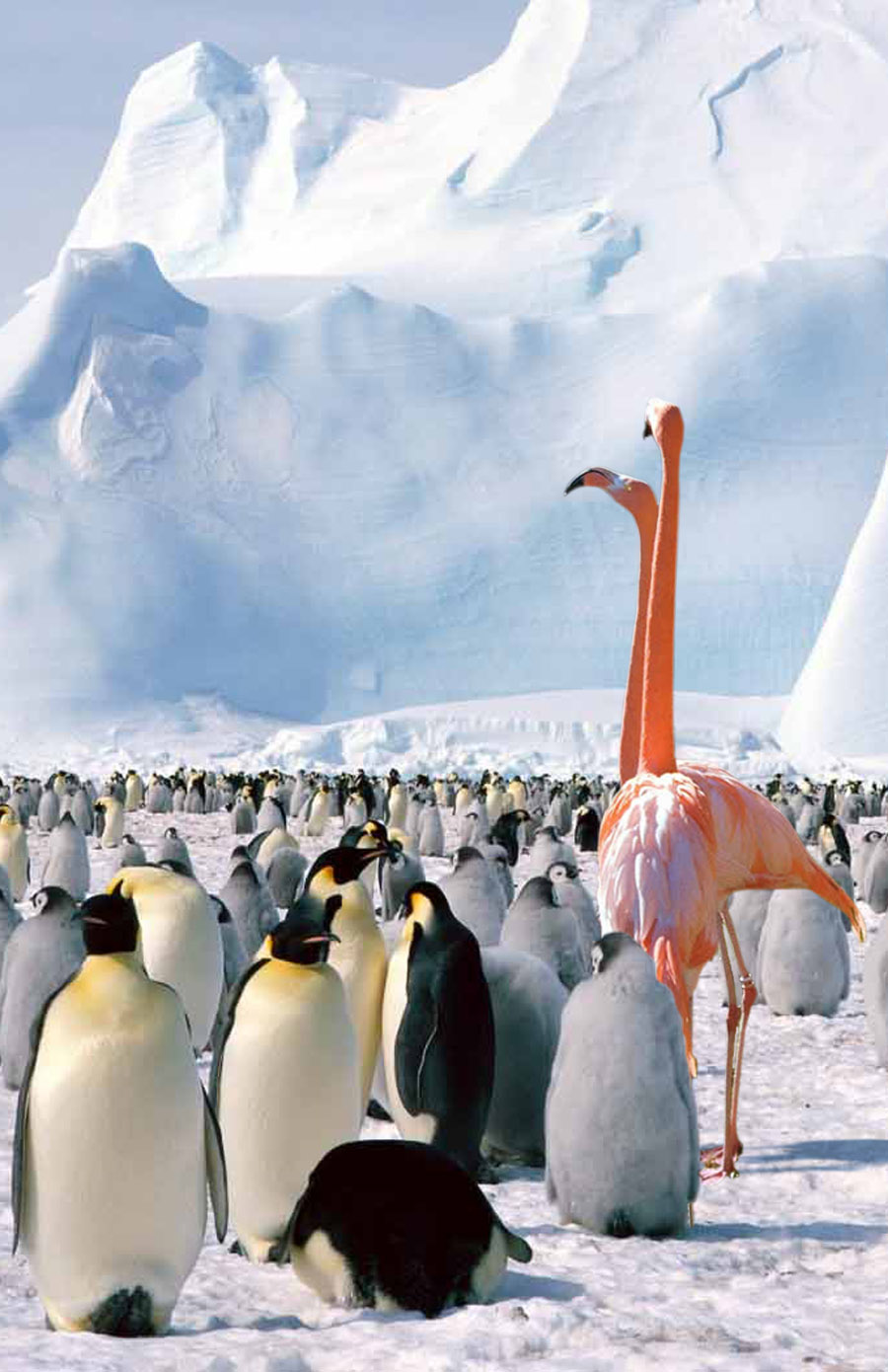 Photoshop-Design von hotweaselsoup für DesignCrowd (Community Contests) | Design #9107119