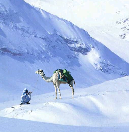 Photoshop Design by Cj for DesignCrowd (Community Contests) | Design #9107170