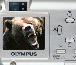 Photoshop Design by diegogualda for DesignCrowd (Community Contests) | Design #9084978