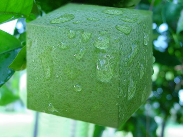 Photoshop-Design von sittingduck für DesignCrowd (Community Contests) | Design #9111973