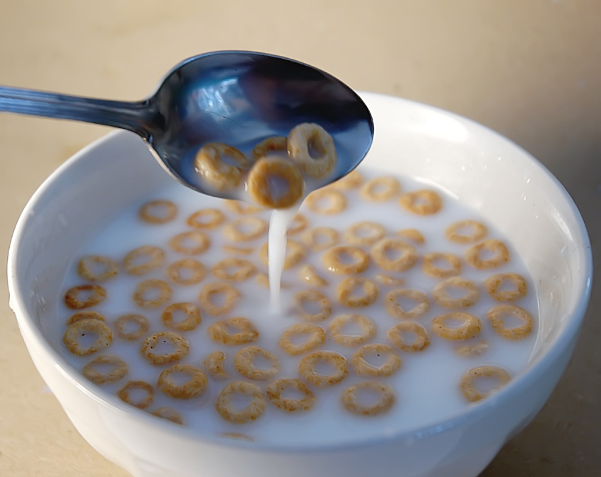 Photographie par squeakers pour DesignCrowd (Community Contests) | Design #9111047