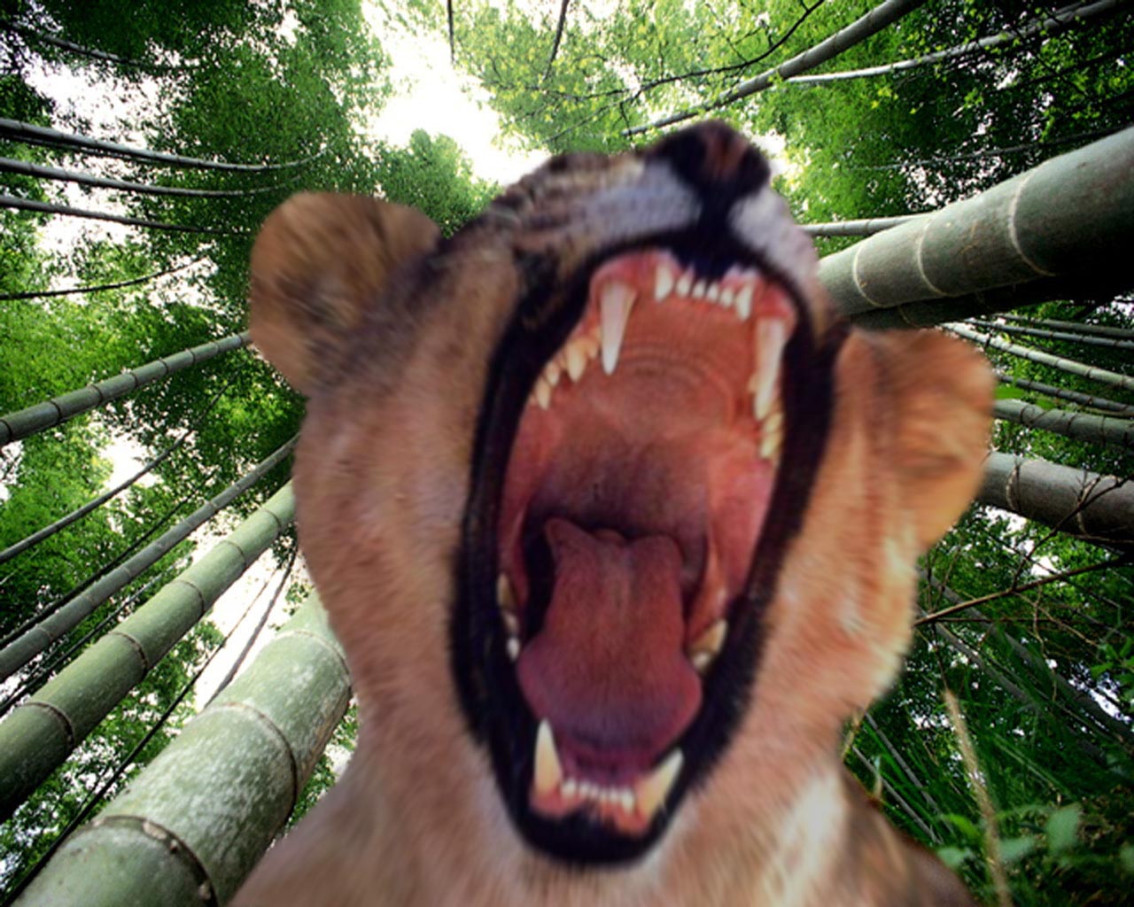 Photoshop-Design von RanLar für DesignCrowd (Community Contests) | Design #9084960