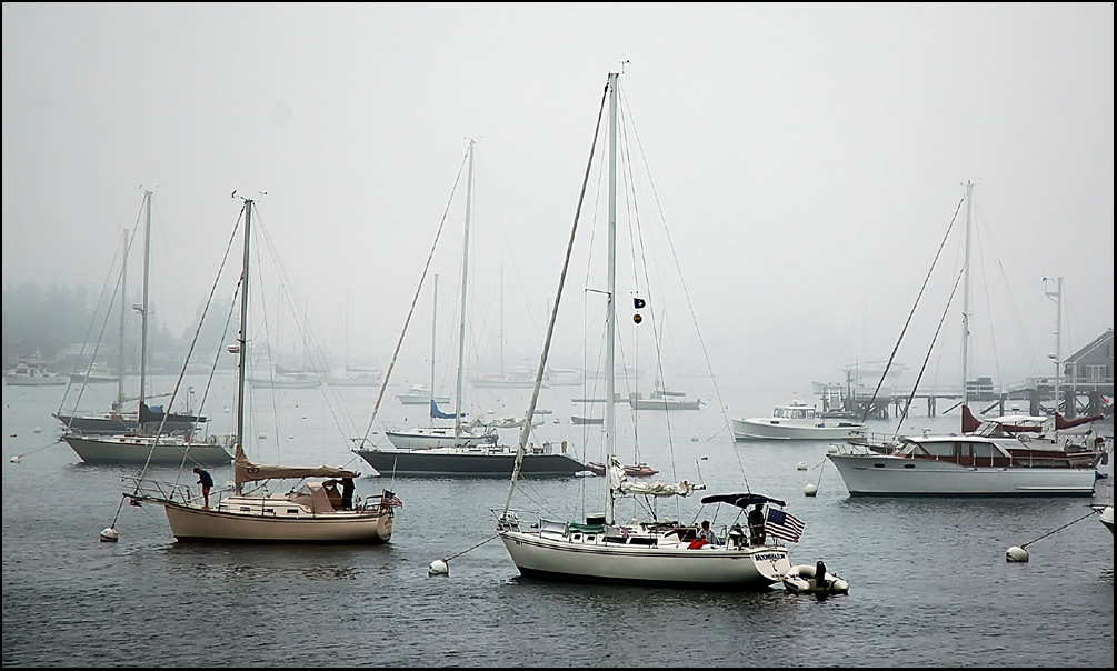 Photographie par squeakers pour DesignCrowd (Community Contests) | Design #9107264