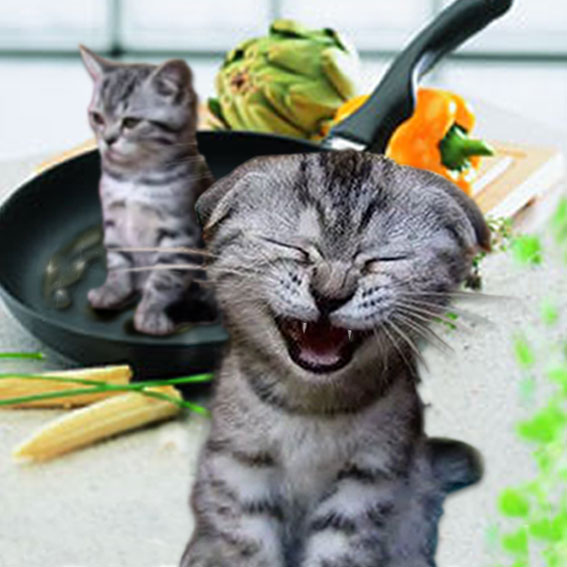 Diseño de Photoshop por MerGirl para DesignCrowd (Community Contests) | Diseño #9092143