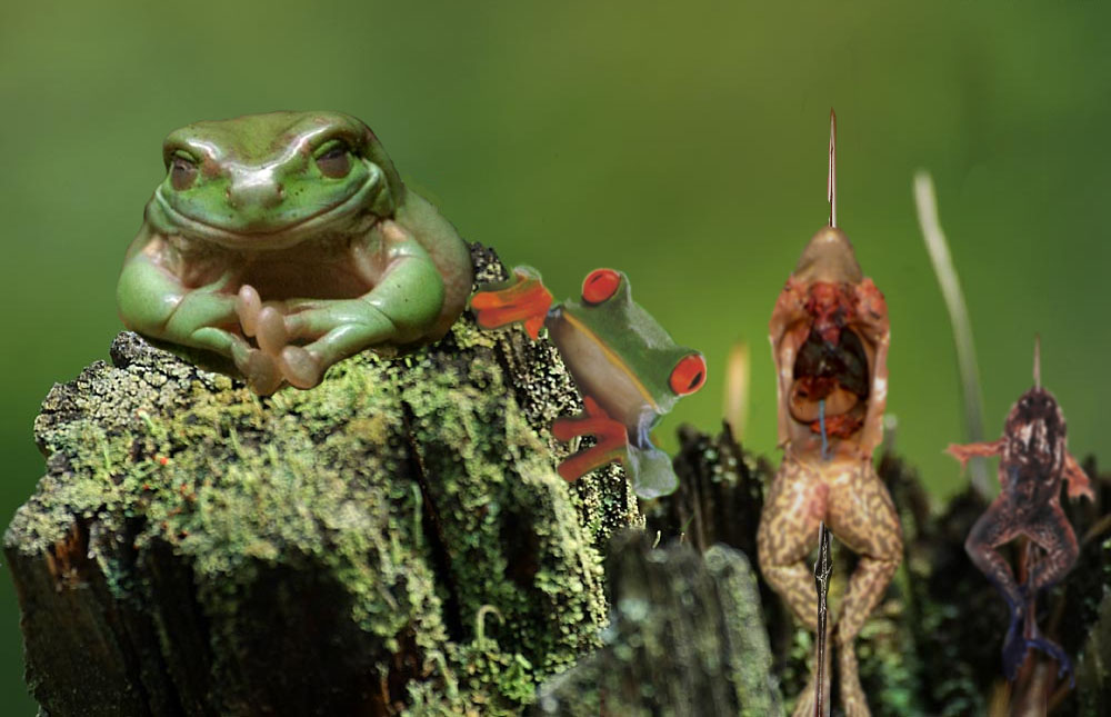 Diseño de Photoshop por oofmechalfonts para DesignCrowd (Community Contests) | Diseño #9092126