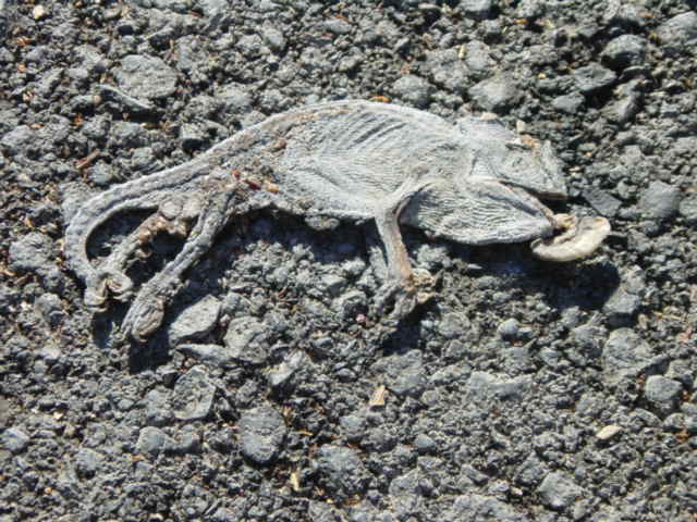 Photographie par samsara pour DesignCrowd (Community Contests) | Design #9113401