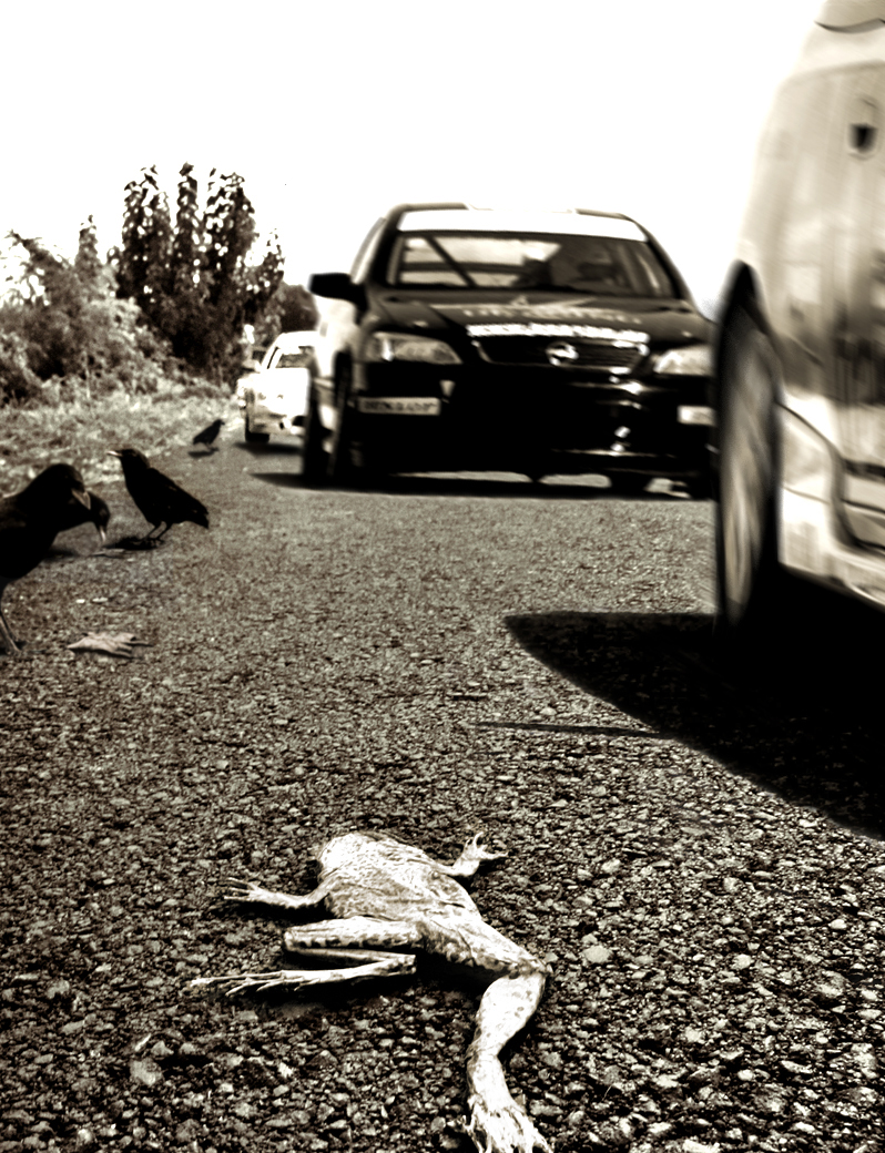 Photoshop-Design von Partyshot für DesignCrowd (Community Contests) | Design #9085027