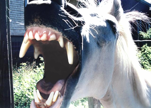 Design Photoshop par sofizz pour DesignCrowd (Community Contests) | Design #9092195