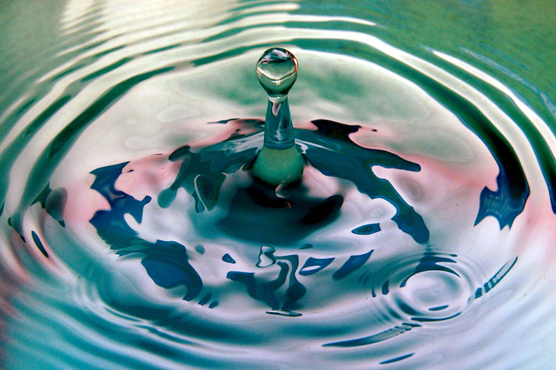 Photography by divernick for DesignCrowd (Community Contests) | Design #9111145