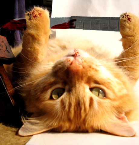 Photoshop Design by sugarmelon for DesignCrowd (Community Contests) | Design #9092202