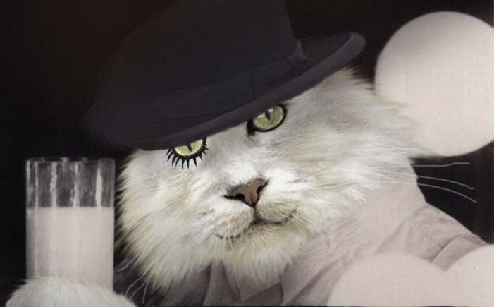 Photoshop Design by cristielayne for DesignCrowd (Community Contests) | Design #9092282