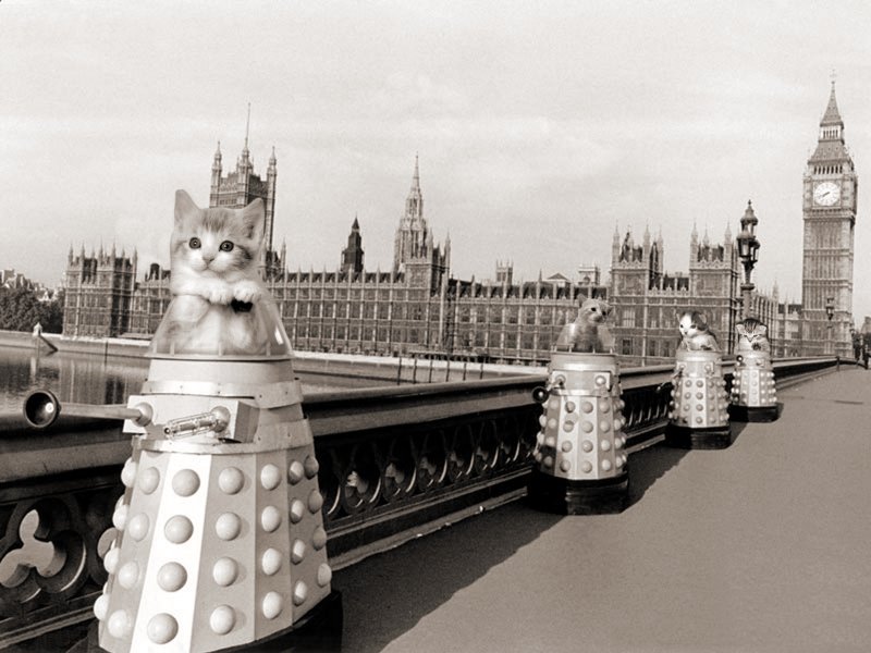 Photoshop Design by Stormdancer for DesignCrowd (Community Contests) | Design #9092359