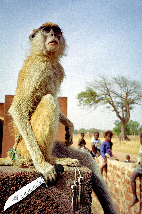 Photoshop Design by Grottzork for DesignCrowd (Community Contests) | Design #9092262