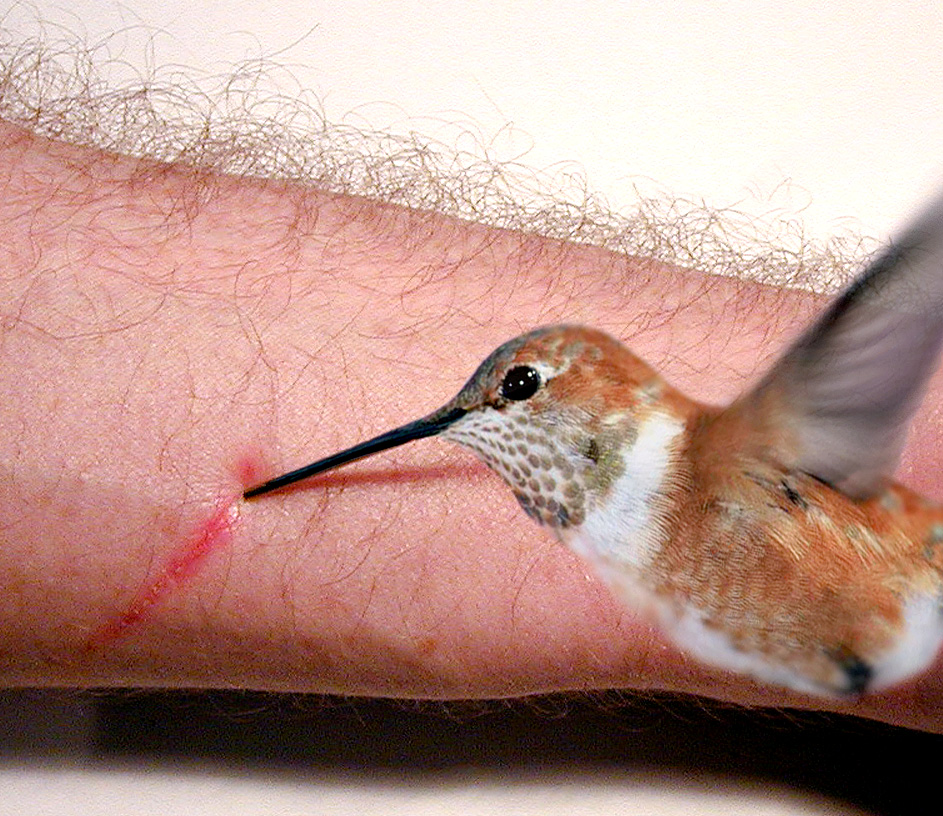 Photoshop Design by Youlookin for DesignCrowd (Community Contests) | Design #9092234