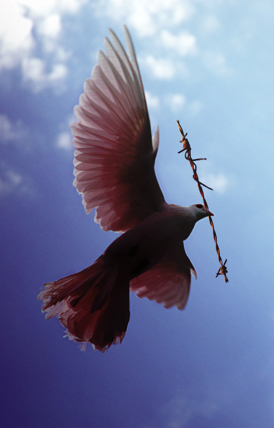 Photoshop Design by theLimeyBrit for DesignCrowd (Community Contests) | Design #9092223