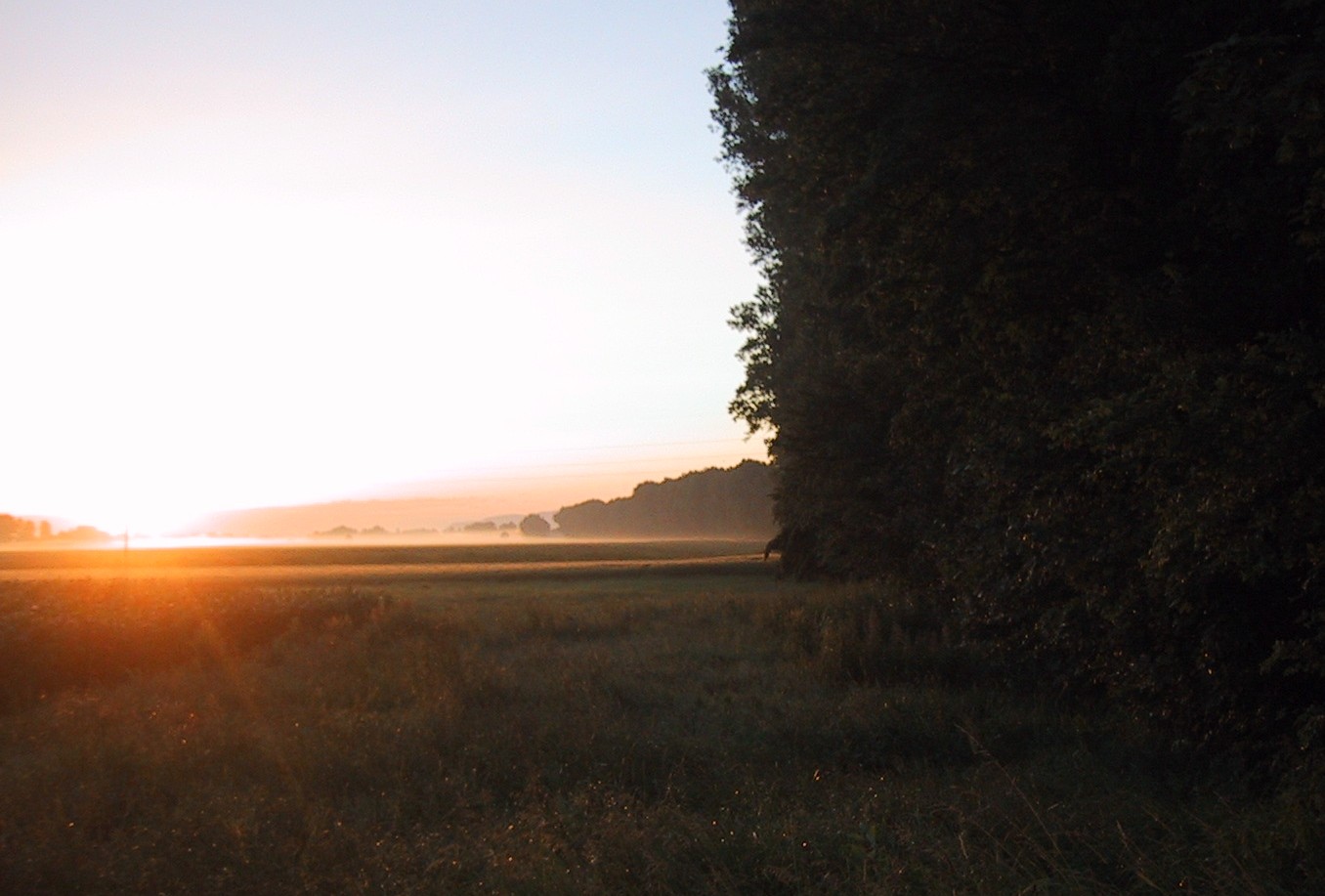 Photography by Enigmus for DesignCrowd (Community Contests) | Design #9107378