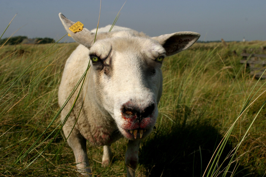 Design Photoshop par Famous58 pour DesignCrowd (Community Contests) | Design #9092370