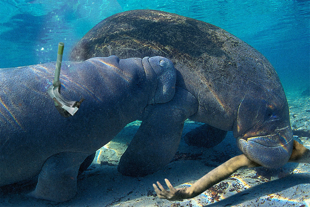 Diseño de Photoshop por darrellperry para DesignCrowd (Community Contests) | Diseño #9092445