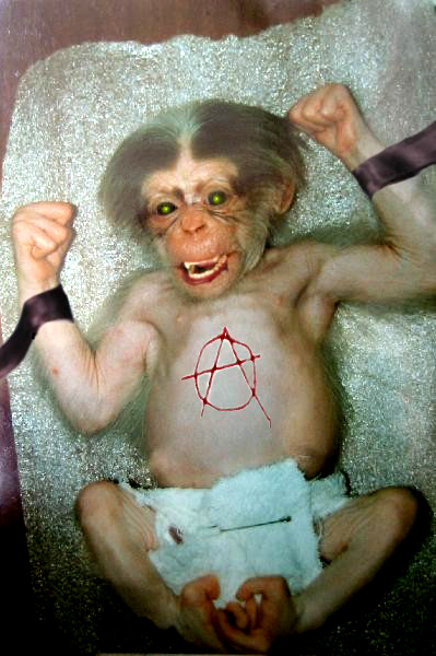 Diseño de Photoshop por eduj65 para DesignCrowd (Community Contests) | Diseño #9092483