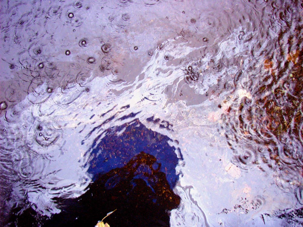 Photography by JonnyG321 for DesignCrowd (Community Contests) | Design #9107383