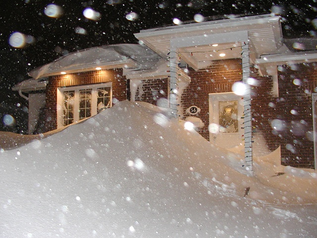 Photographie par KarenC pour DesignCrowd (Community Contests) | Design #9107369