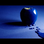 Photography by ELBradenabra