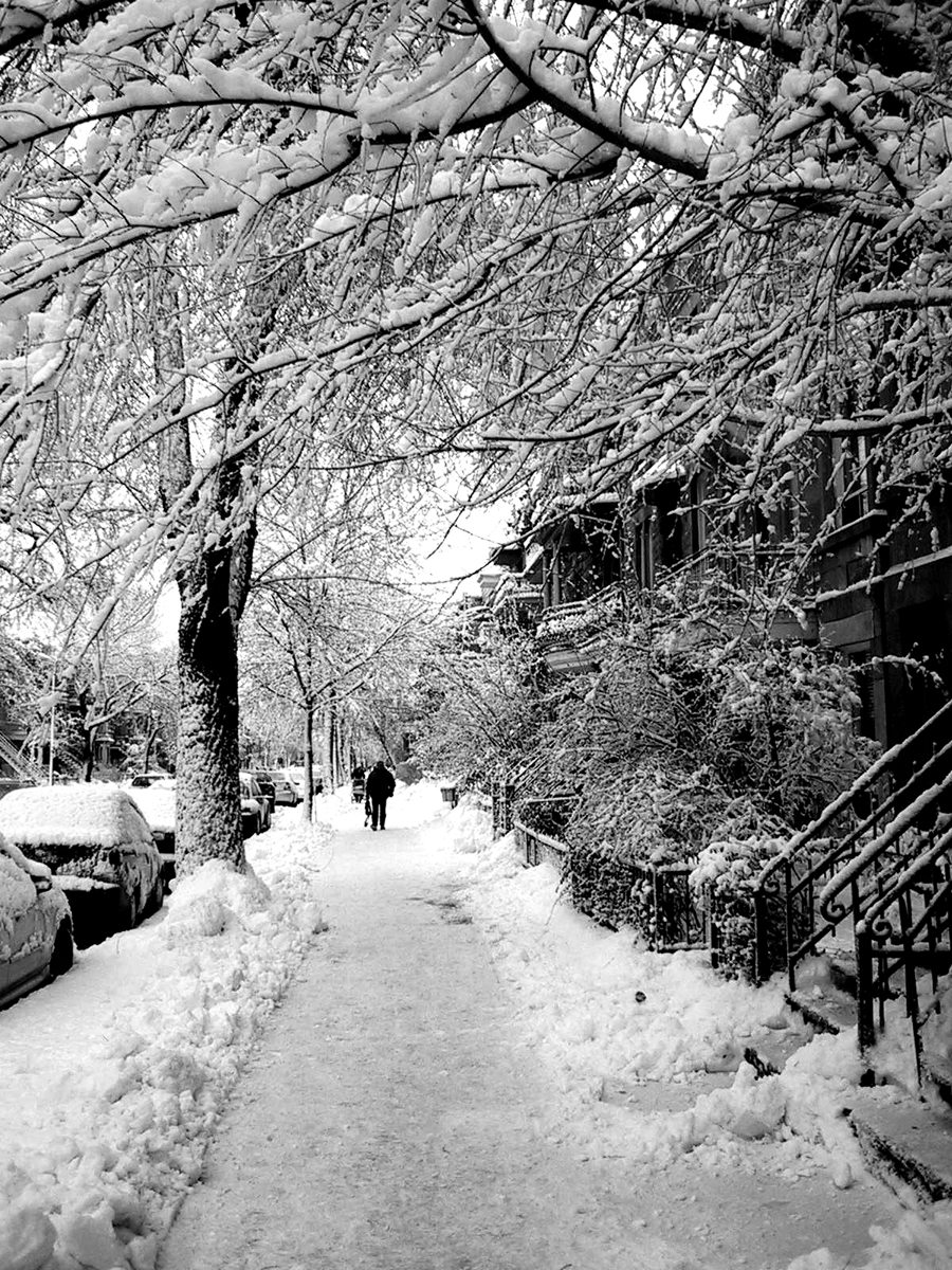 Photography by brunewz for DesignCrowd (Community Contests) | Design #9107336