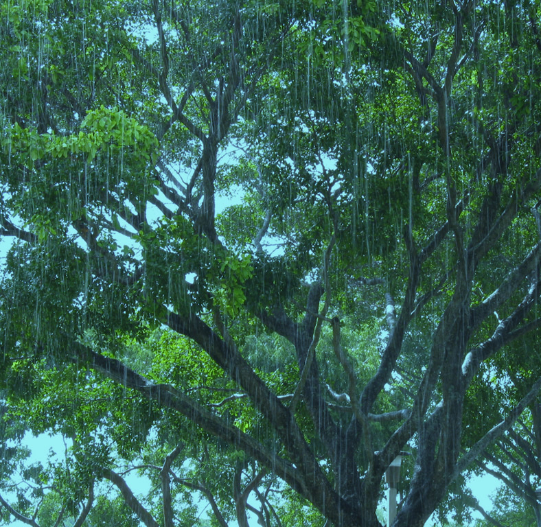 Photography by squaredd for DesignCrowd (Community Contests) | Design #9107342