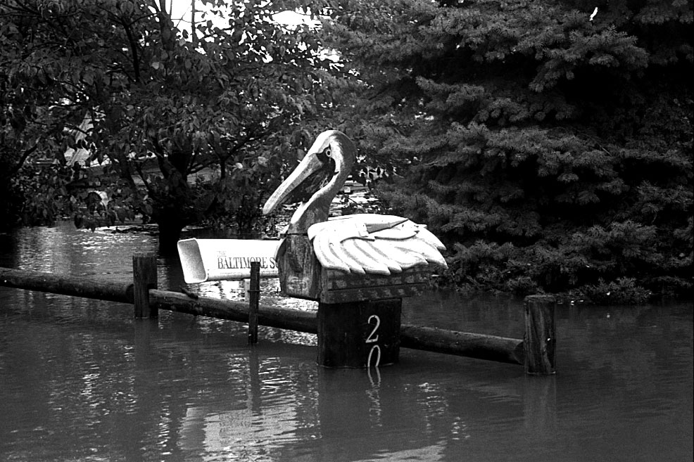 Fotografie von blurmore für DesignCrowd (Community Contests) | Design #9107346