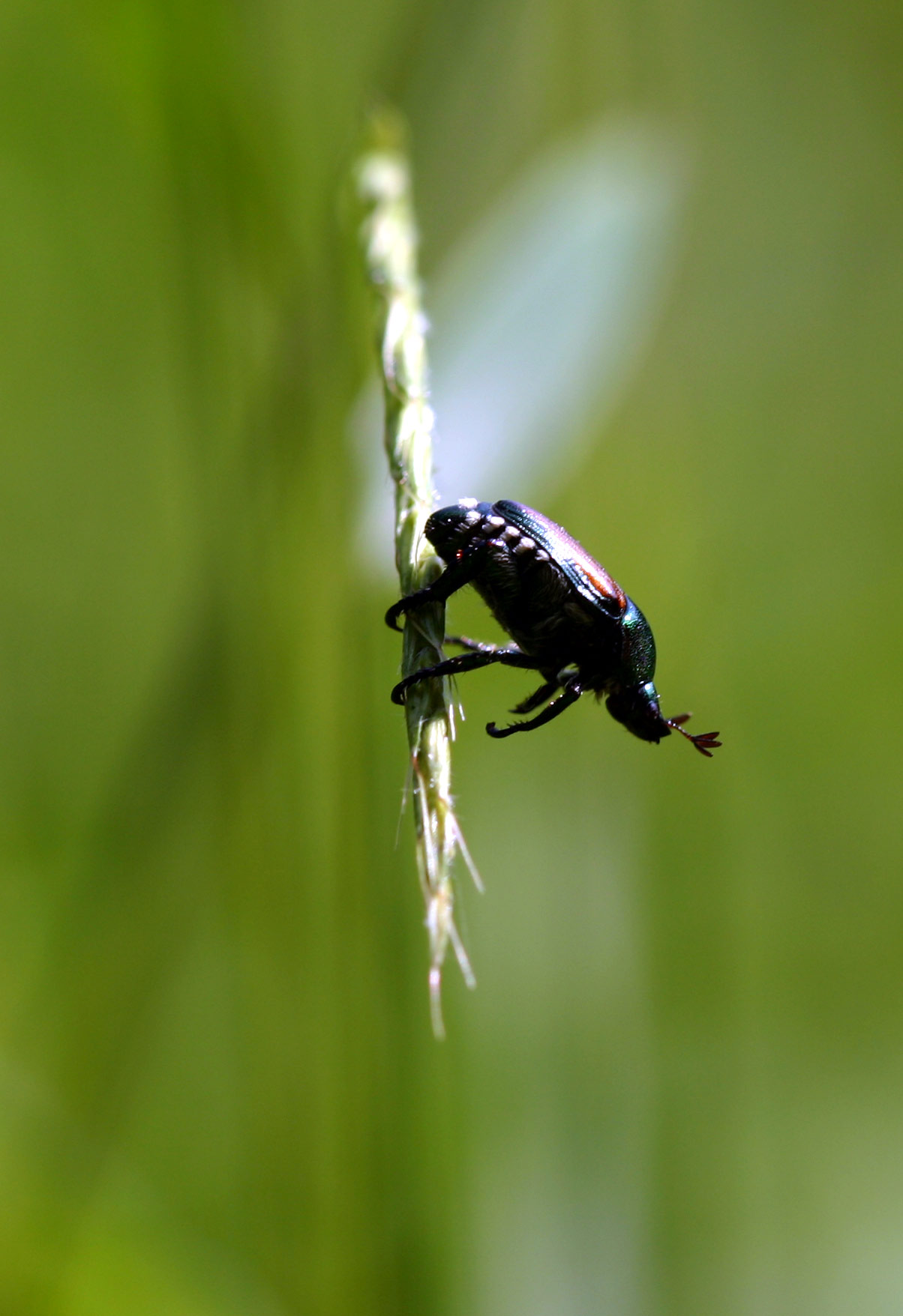 Photography by jiwasz for DesignCrowd (Community Contests) | Design #9107797