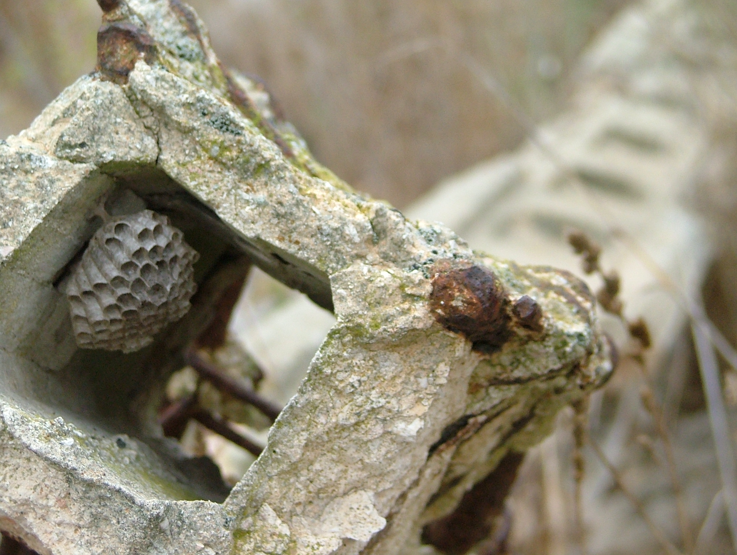 Photography by spitereuben for DesignCrowd (Community Contests) | Design #9107901