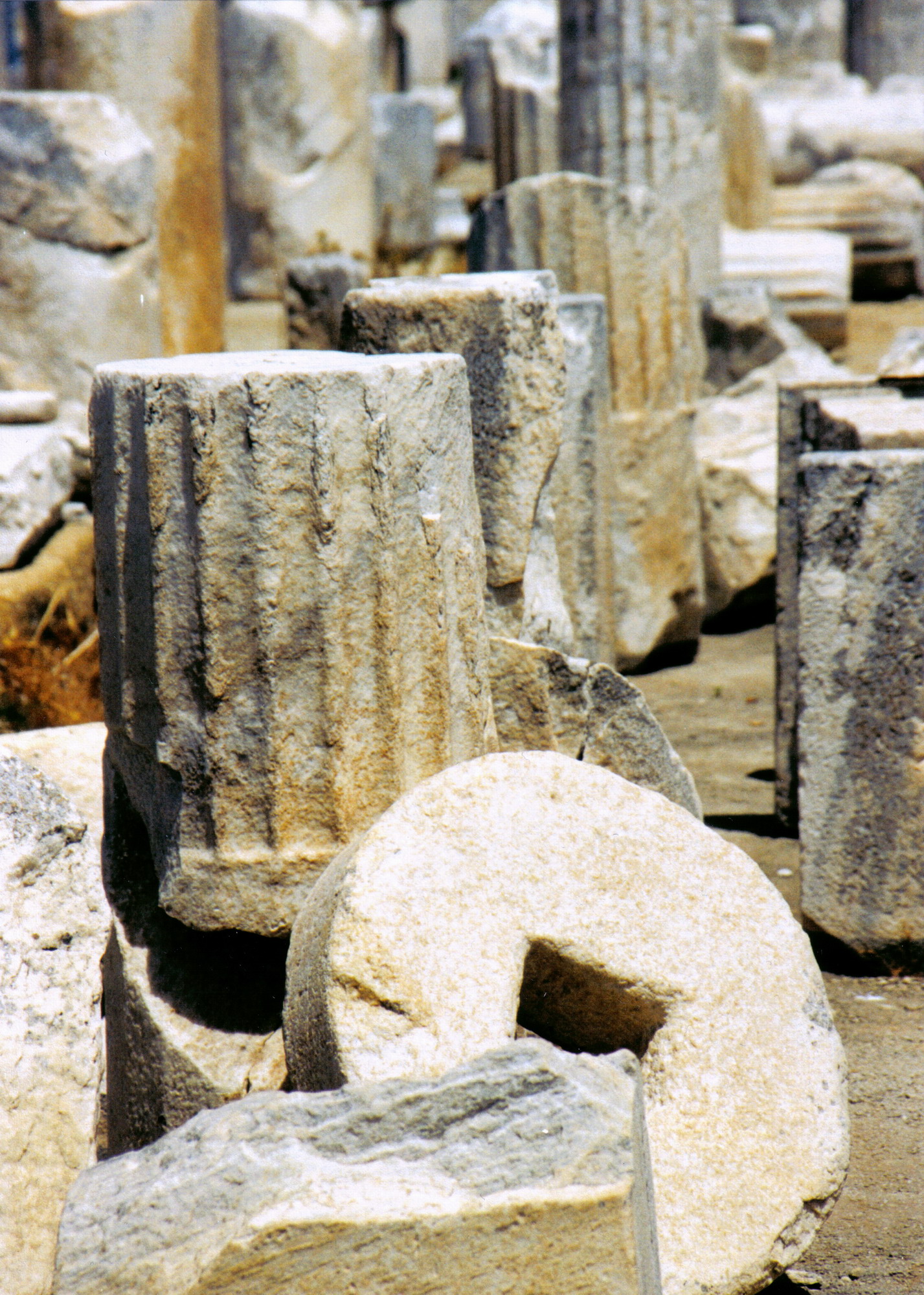 Photography by virtualstrauss for DesignCrowd (Community Contests) | Design #9107888