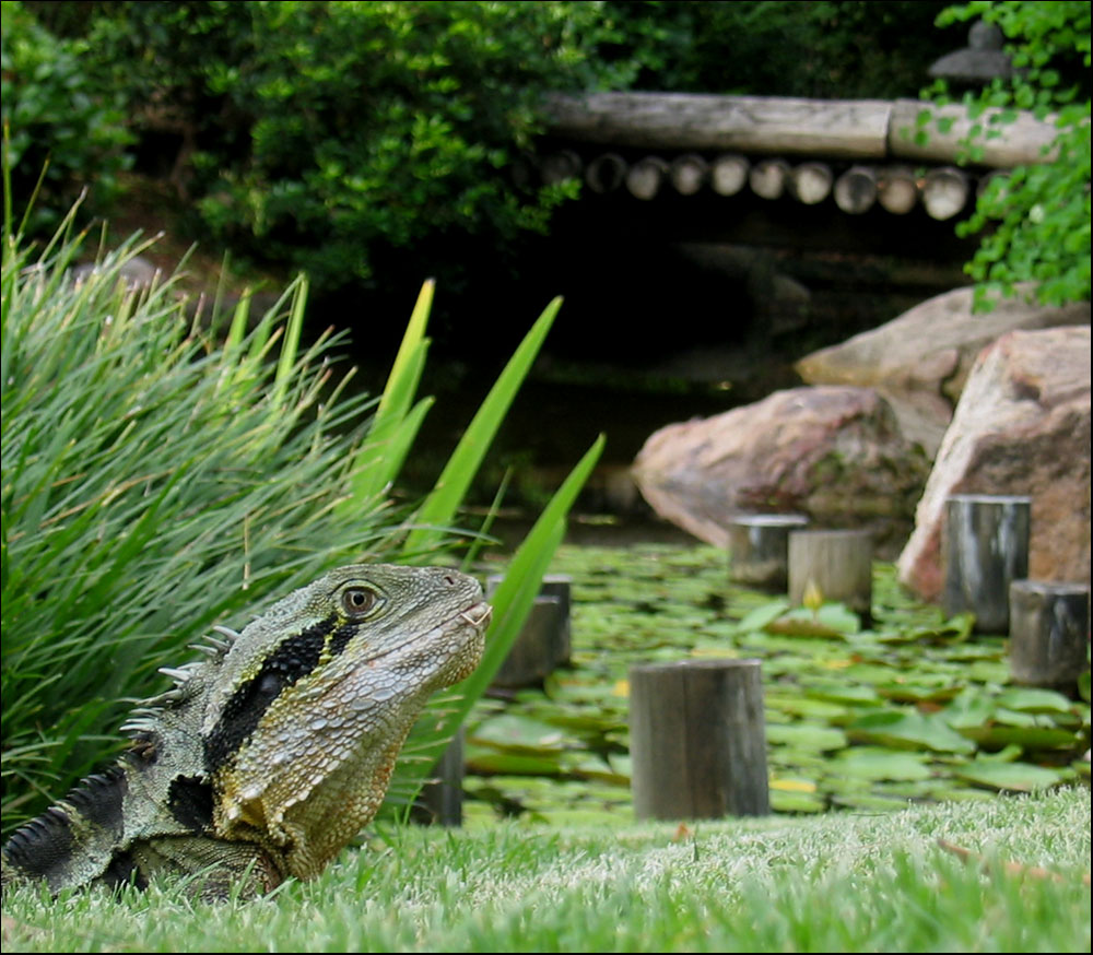 Photographie par mated1976 pour DesignCrowd (Community Contests) | Design #9107857