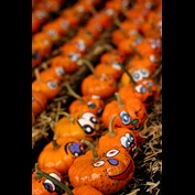 Photography by SigloV