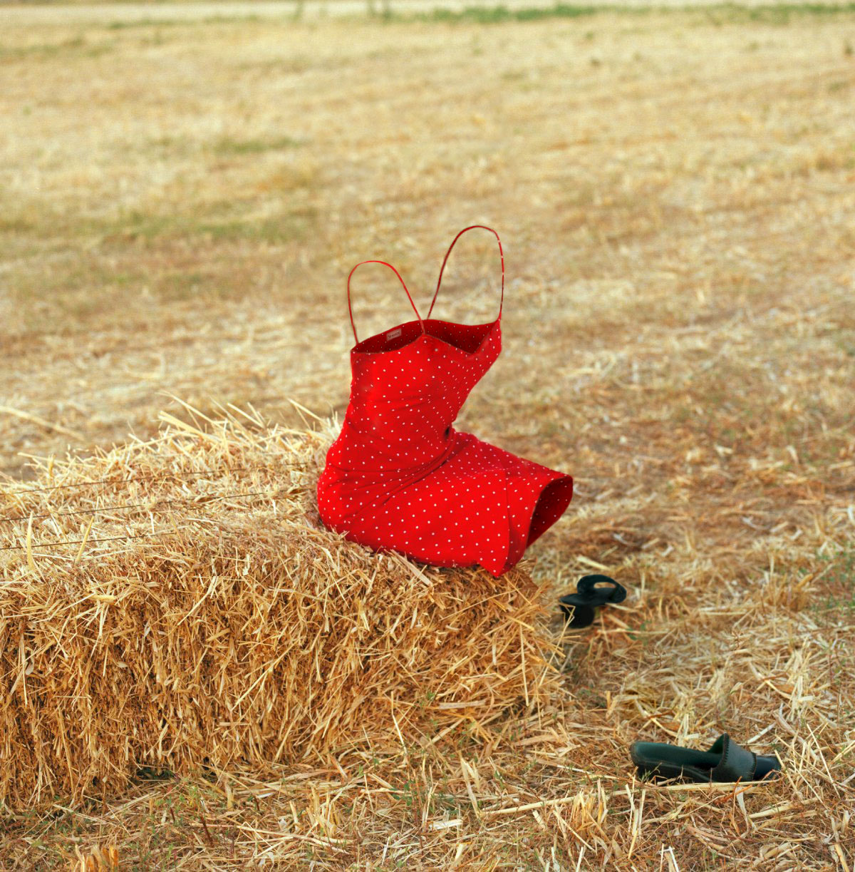 Photoshop Design by SaraAngel for DesignCrowd (Community Contests) | Design #9111270