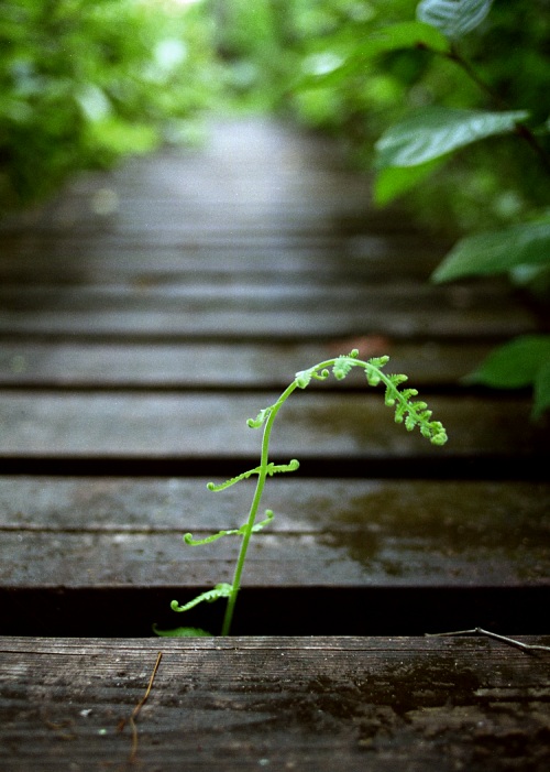 Photography by thesecretsharer for DesignCrowd (Community Contests) | Design #9107965