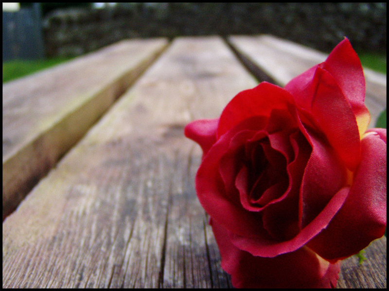 Photographie par Chris1986 pour DesignCrowd (Community Contests) | Design #9107994