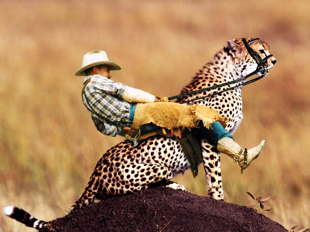 Photoshop Design by BlitzMan for DesignCrowd (Community Contests) | Design #9107963