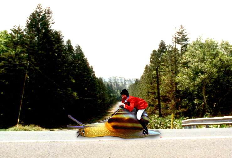 Photoshop Design by silperse for DesignCrowd (Community Contests) | Design #9107959